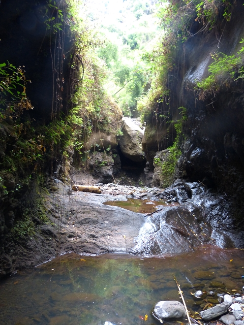 24.07.2014 Levada do Canico and Levada dos Tornos (south) — To the Madre — photo 11