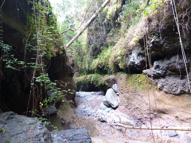 24.07.2014 Levada do Canico and Levada dos Tornos (south) — To the Madre — photo 12