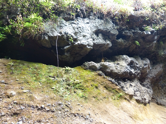 24.07.2014 Levada do Canico and Levada dos Tornos (south) — To the Madre — photo 13