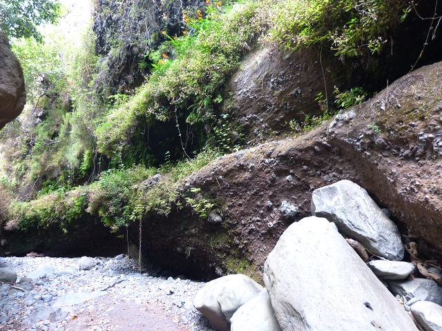 24.07.2014 Levada do Canico and Levada dos Tornos (south) — To the Madre — photo 14