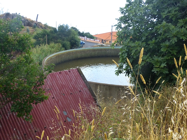 24.07.2014 Levada do Canico and Levada dos Tornos (south) — From the end to the small tunnel — photo 8