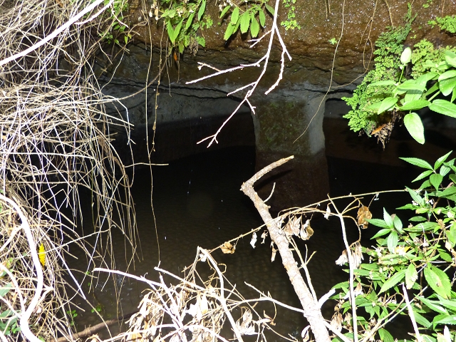 24.07.2014 Levada do Canico and Levada dos Tornos (south) — To the Madre — photo 18