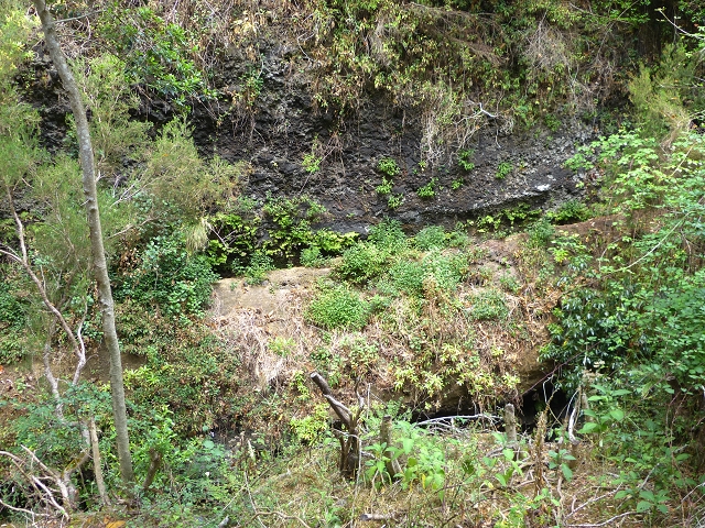 24.07.2014 Levada do Canico and Levada dos Tornos (south) — To the Madre — photo 20