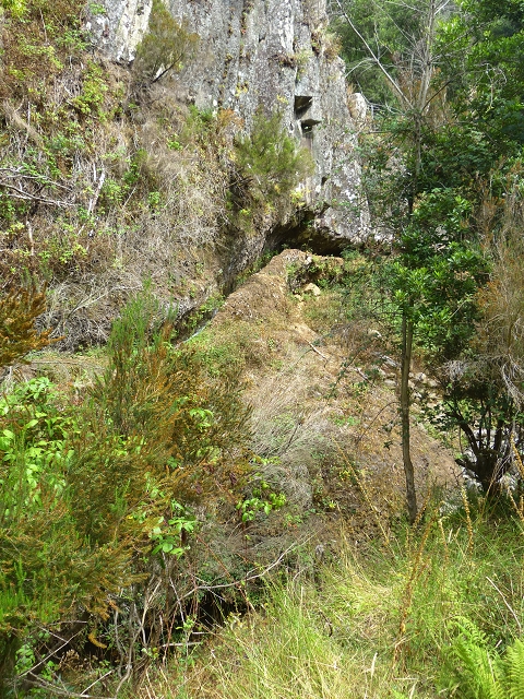 24.07.2014 Levada do Canico and Levada dos Tornos (south) — To the Madre — photo 21