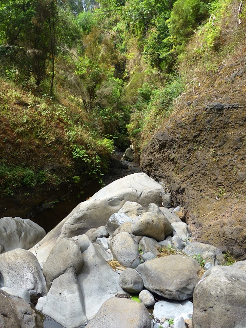24.07.2014 Levada do Canico and Levada dos Tornos (south) — To the Madre — photo 24