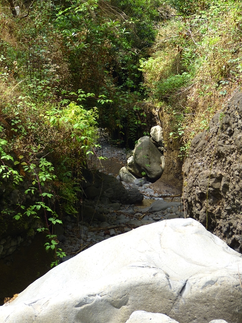 24.07.2014 Levada do Canico and Levada dos Tornos (south) — To the Madre — photo 25