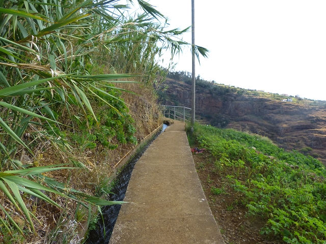 24.07.2014 Levada do Canico and Levada dos Tornos (south) — From the end to the small tunnel — photo 9