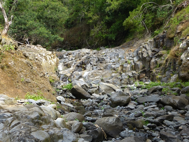 24.07.2014 Levada do Canico and Levada dos Tornos (south) — To the Madre — photo 28
