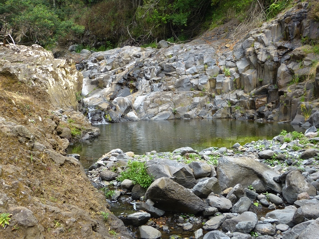 24.07.2014 Levada do Canico and Levada dos Tornos (south) — To the Madre — photo 29