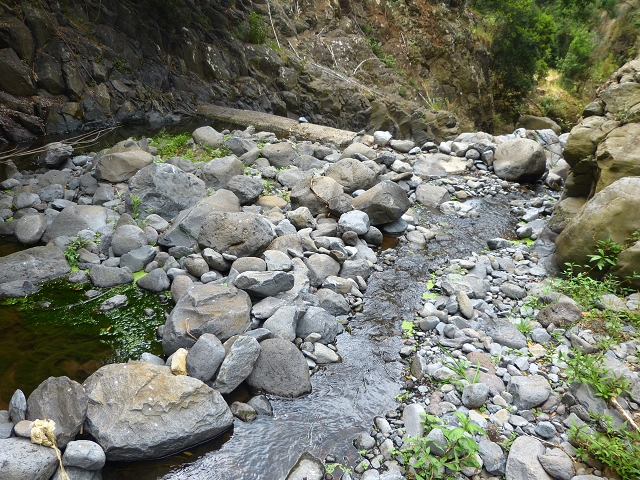 24.07.2014 Levada do Canico and Levada dos Tornos (south) — To the Madre — photo 30