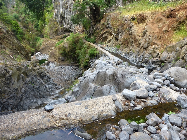 24.07.2014 Levada do Canico and Levada dos Tornos (south) — To the Madre — photo 31