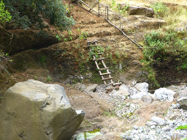 24.07.2014 Levada do Canico and Levada dos Tornos (south) — Back and ascent to the Levada dos Tornos — photo 2