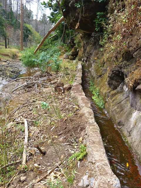 24.07.2014 Levada do Canico and Levada dos Tornos (south) — Back and ascent to the Levada dos Tornos — photo 4