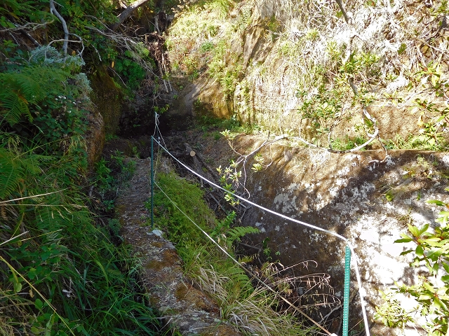 24.07.2015 Balcoes Levada do Juncal Levada Nova do Juncal — Ribeiro Frio zur Levada do Juncal und zum ersten Erdrutsch — Foto 10