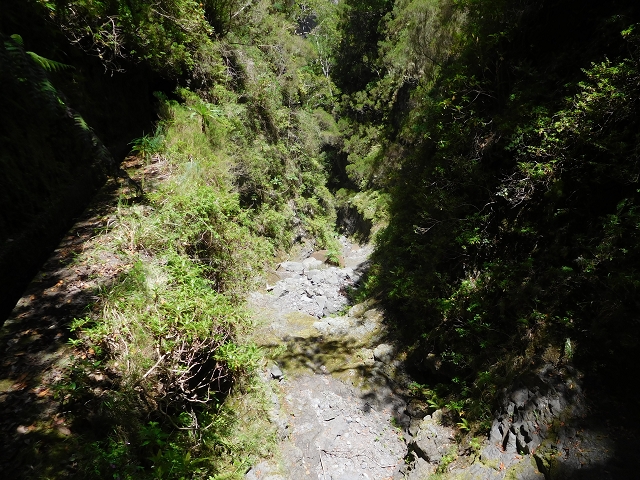 24.07.2015 Balcoes Levada do Juncal Levada Nova do Juncal — Auf der Levada Nova do Juncal — Foto 1