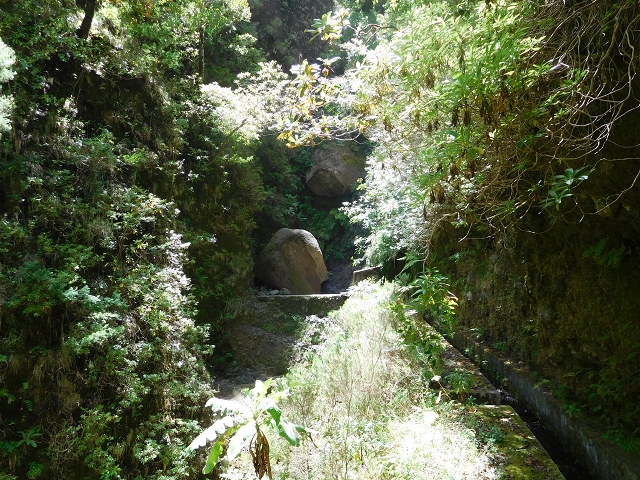 24.07.2015 Balcoes Levada do Juncal Levada Nova do Juncal — Auf der Levada Nova do Juncal — Foto 2