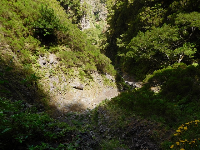 24.07.2015 Balcoes Levada do Juncal Levada Nova do Juncal — Auf der Levada Nova do Juncal — Foto 4
