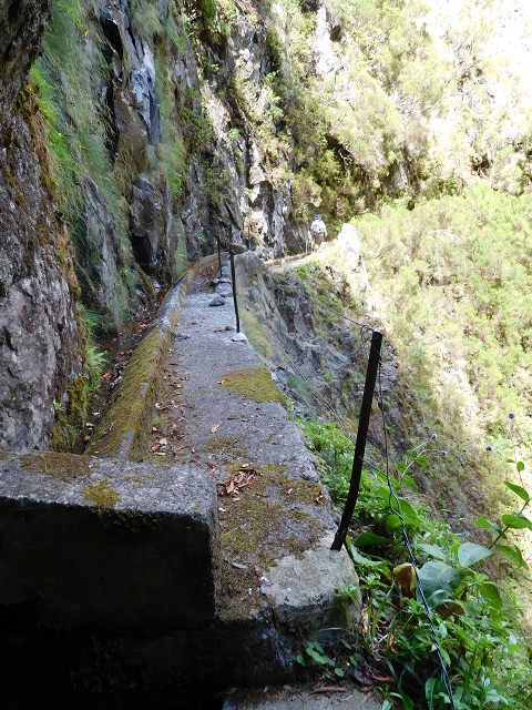 24.07.2015 Balcoes Levada do Juncal Levada Nova do Juncal — Auf der Levada Nova do Juncal — Foto 5