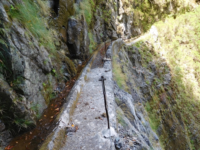 24.07.2015 Balcoes Levada do Juncal Levada Nova do Juncal — Auf der Levada Nova do Juncal — Foto 6
