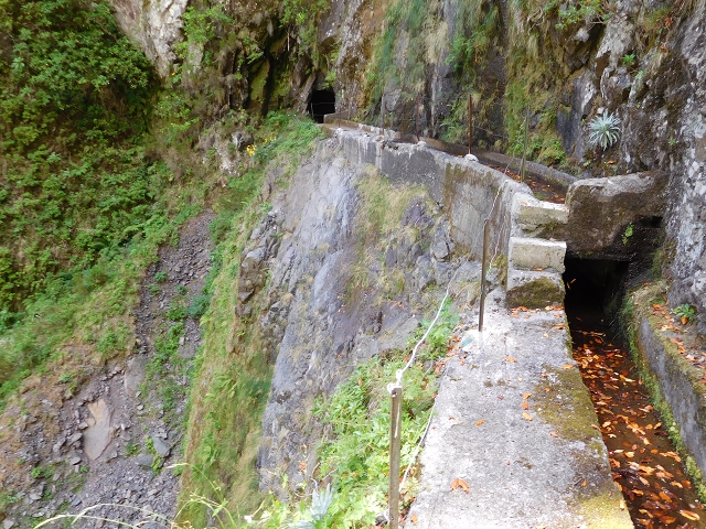 24.07.2015 Balcoes Levada do Juncal Levada Nova do Juncal — Auf der Levada Nova do Juncal — Foto 7