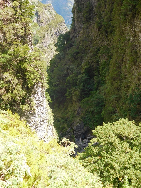 24.07.2015 Balcoes Levada do Juncal Levada Nova do Juncal — Auf der Levada Nova do Juncal — Foto 10