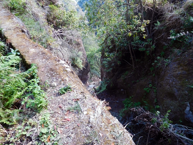 24.07.2015 Balcoes Levada do Juncal Levada Nova do Juncal — Ribeiro Frio zur Levada do Juncal und zum ersten Erdrutsch — Foto 11