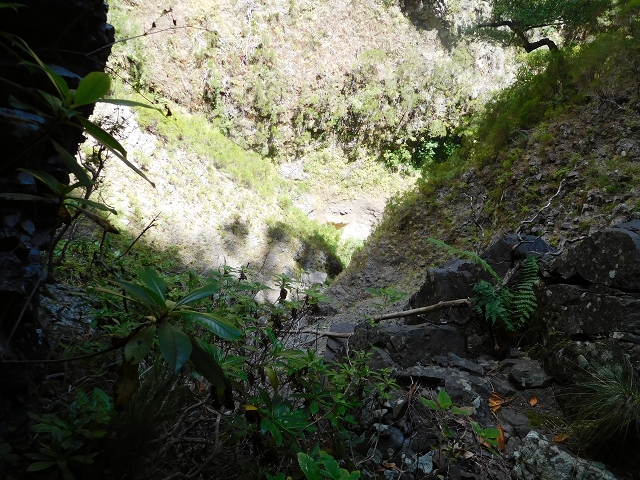24.07.2015 Balcoes Levada do Juncal Levada Nova do Juncal — Auf der Levada Nova do Juncal — Foto 13