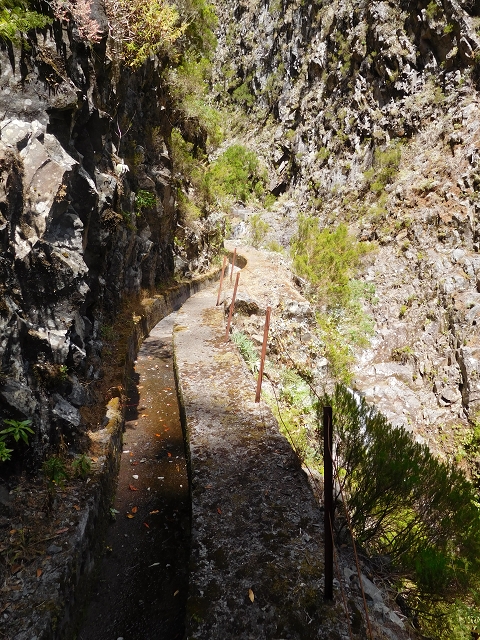 24.07.2015 Balcoes Levada do Juncal Levada Nova do Juncal — Auf der Levada Nova do Juncal — Foto 14