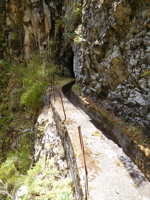 24.07.2015 Balcoes Levada do Juncal Levada Nova do Juncal — Auf der Levada Nova do Juncal — Foto 15