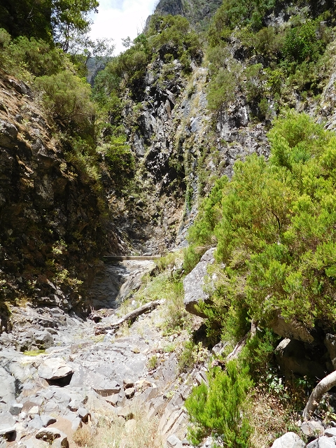 24.07.2015 Balcoes Levada do Juncal Levada Nova do Juncal — Auf der Levada Nova do Juncal — Foto 18