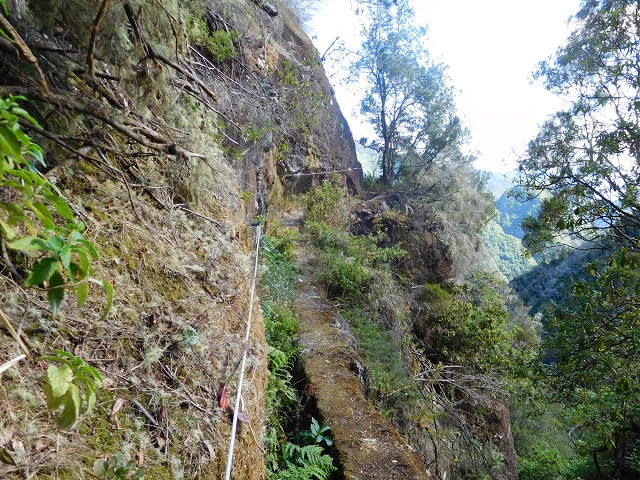 24.07.2015 Balcoes Levada do Juncal Levada Nova do Juncal — Ribeiro Frio zur Levada do Juncal und zum ersten Erdrutsch — Foto 12