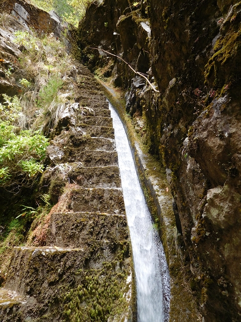 24.07.2015 Balcoes Levada do Juncal Levada Nova do Juncal — Auf der Levada Nova do Juncal — Foto 26