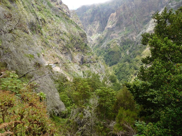 24.07.2015 Balcoes Levada do Juncal Levada Nova do Juncal — Auf der Levada Nova do Juncal — Foto 2
