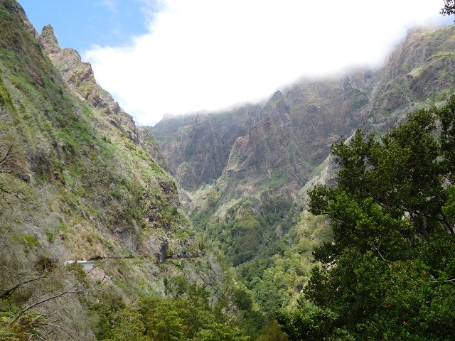 24.07.2015 Balcoes Levada do Juncal Levada Nova do Juncal — Auf der Levada Nova do Juncal — Foto 3