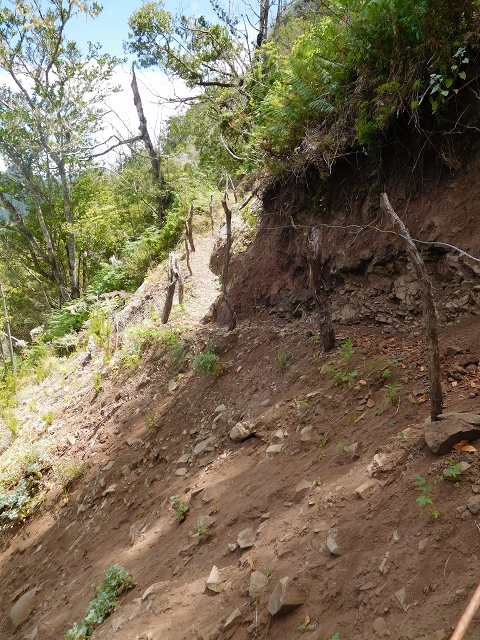 24.07.2015 Balcoes Levada do Juncal Levada Nova do Juncal — Vom Pico da Nogueira-Tunnel zum Speicherbecken — Foto 1