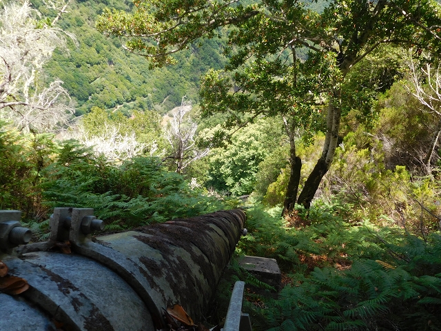 24.07.2015 Balcoes Levada do Juncal Levada Nova do Juncal — Vom Pico da Nogueira-Tunnel zum Speicherbecken — Foto 2