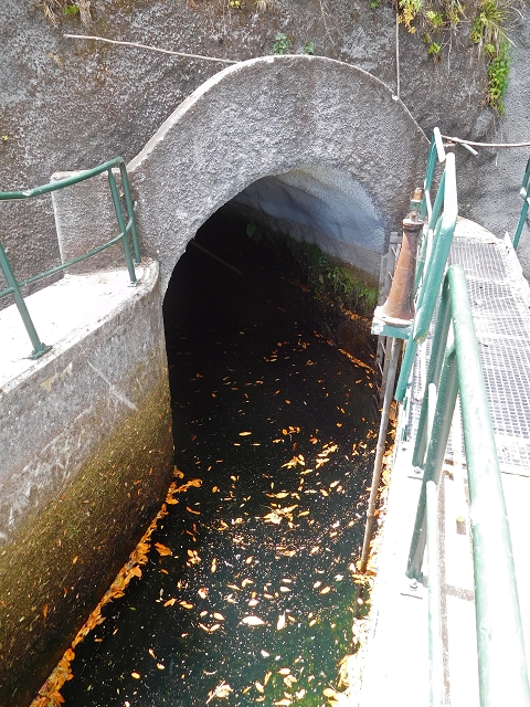 24.07.2015 Balcoes Levada do Juncal Levada Nova do Juncal — Vom Pico da Nogueira-Tunnel zum Speicherbecken — Foto 7