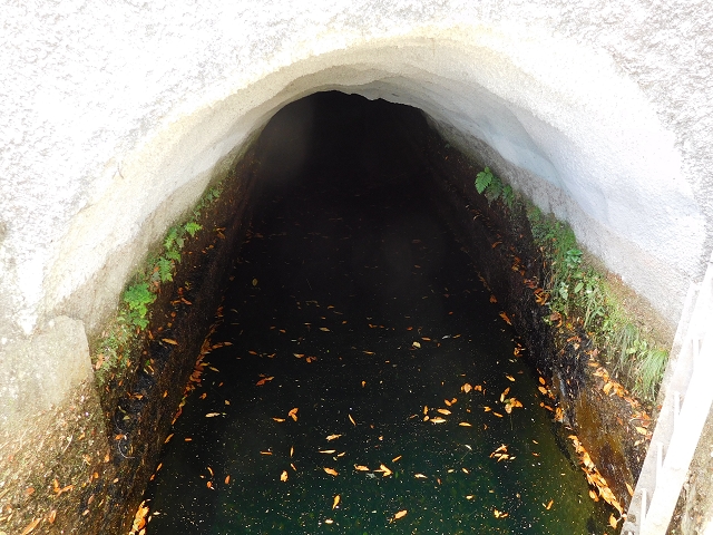 24.07.2015 Balcoes Levada do Juncal Levada Nova do Juncal — Vom Pico da Nogueira-Tunnel zum Speicherbecken — Foto 8