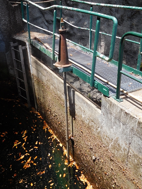 24.07.2015 Balcoes Levada do Juncal Levada Nova do Juncal — Vom Pico da Nogueira-Tunnel zum Speicherbecken — Foto 10