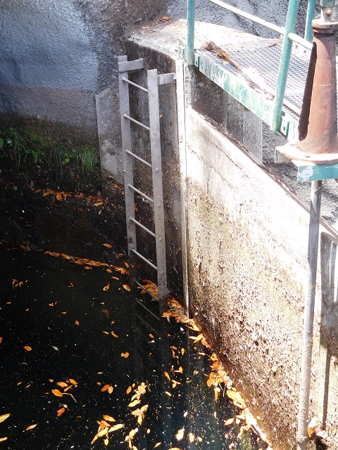 24.07.2015 Balcoes Levada do Juncal Levada Nova do Juncal — Vom Pico da Nogueira-Tunnel zum Speicherbecken — Foto 11