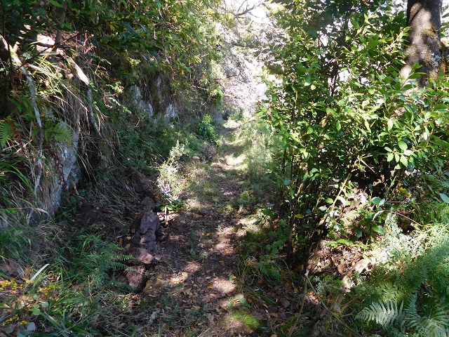 24.07.2015 Balcoes Levada do Juncal Levada Nova do Juncal — Ribeiro Frio zur Levada do Juncal und zum ersten Erdrutsch — Foto 15