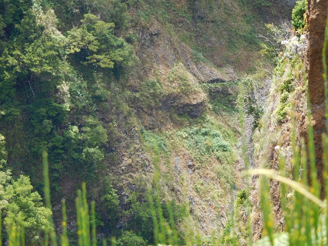 24.07.2015 Balcoes Levada do Juncal Levada Nova do Juncal — Der Viewpoint — Foto 8