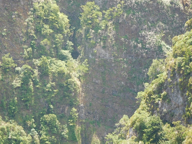 24.07.2015 Balcoes Levada do Juncal Levada Nova do Juncal — Der Viewpoint — Foto 9