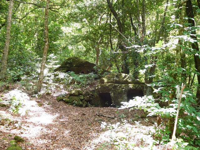 24.07.2015 Balcoes Levada do Juncal Levada Nova do Juncal — Über die Faja da Nogueira mit den Flintstone-Häusern zum Kraftwerk — Foto 2