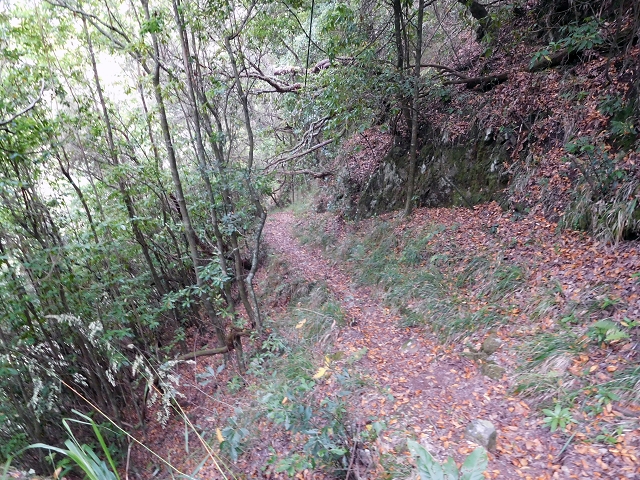 24.07.2015 Balcoes Levada do Juncal Levada Nova do Juncal — Über die Faja da Nogueira mit den Flintstone-Häusern zum Kraftwerk — Foto 4