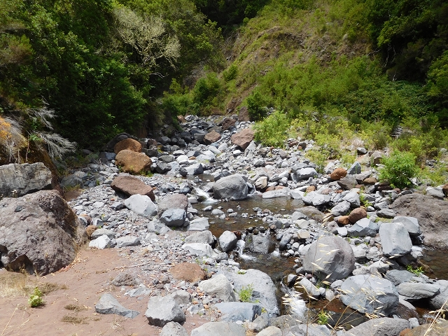 24.07.2015 Balcoes Levada do Juncal Levada Nova do Juncal — Über die Faja da Nogueira mit den Flintstone-Häusern zum Kraftwerk — Foto 6