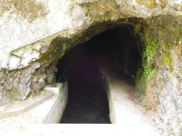 24.07.2015 Balcoes Levada do Juncal Levada Nova do Juncal — Abstecher durch den Tornostunnel zur Ribeira Seca — Foto 1