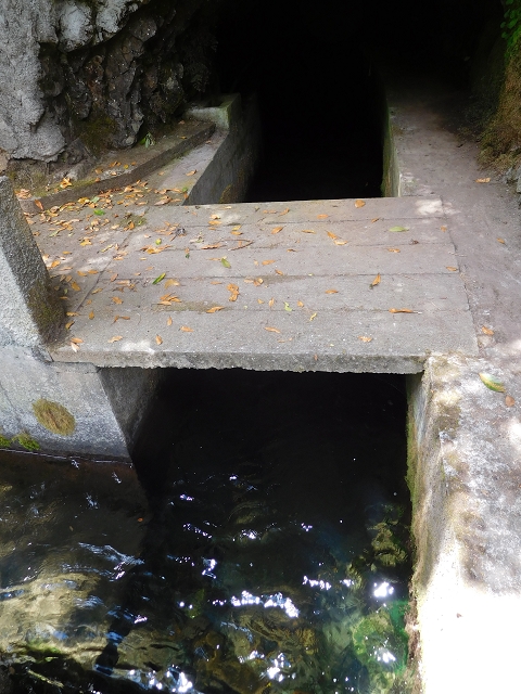 24.07.2015 Balcoes Levada do Juncal Levada Nova do Juncal — Abstecher durch den Tornostunnel zur Ribeira Seca — Foto 3