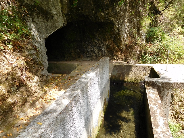 24.07.2015 Balcoes Levada do Juncal Levada Nova do Juncal — Abstecher durch den Tornostunnel zur Ribeira Seca — Foto 4