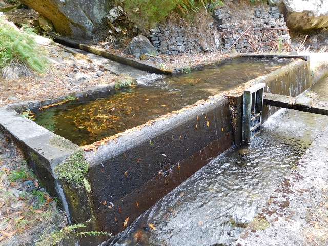 24.07.2015 Balcoes Levada do Juncal Levada Nova do Juncal — Abstecher durch den Tornostunnel zur Ribeira Seca — Foto 6